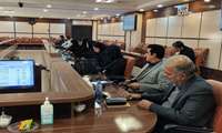 شیرینی کام ۲ هزار نفر، به سبب بهره مندی از مصوبات قرارگاه جوانی جمعیت در دانشگاه علوم پزشکی زاهدان